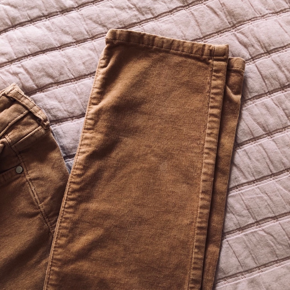 Velvet corduroy pants - Picture 3 of 3